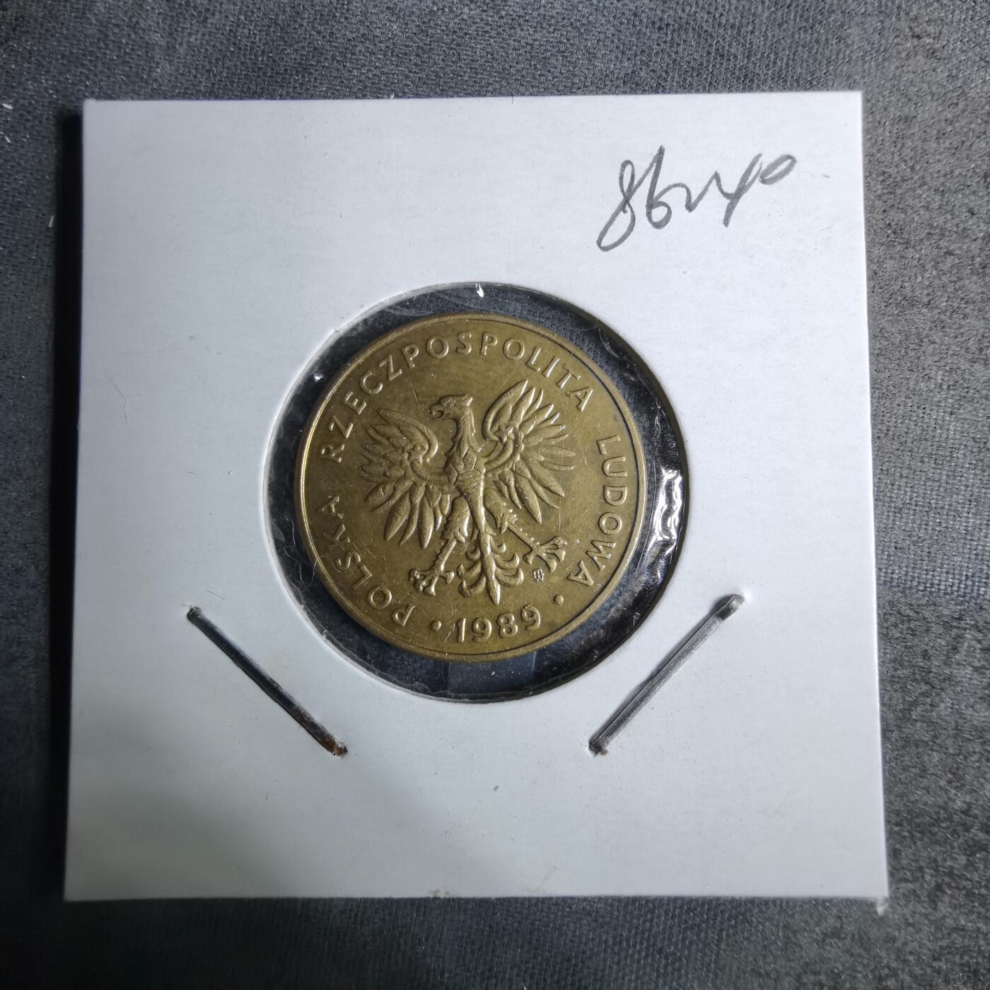 沼泽如烟--第886场