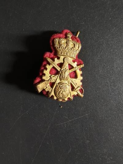 老王徽章第160期 -  丹麦陆军机电与工程师团帽徽 底衬完整