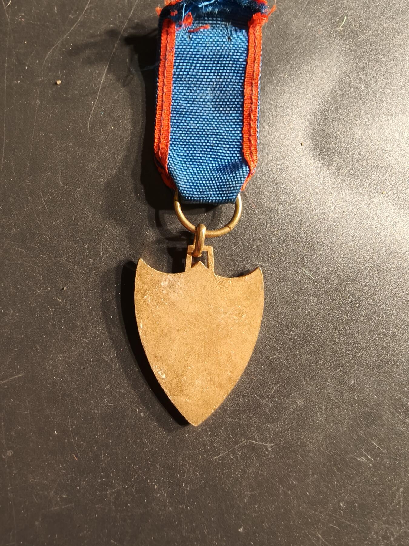 老王徽章第160期  法国纪念章