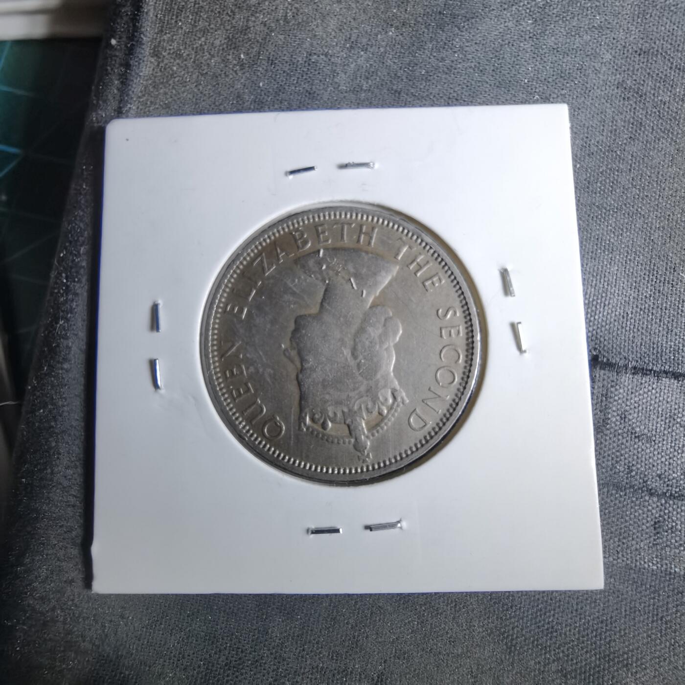 沼泽如烟--第886场