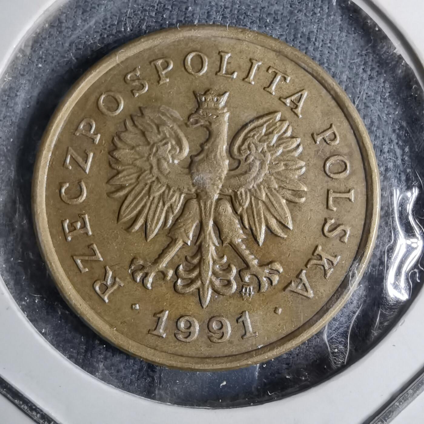 沼泽如烟--第886场