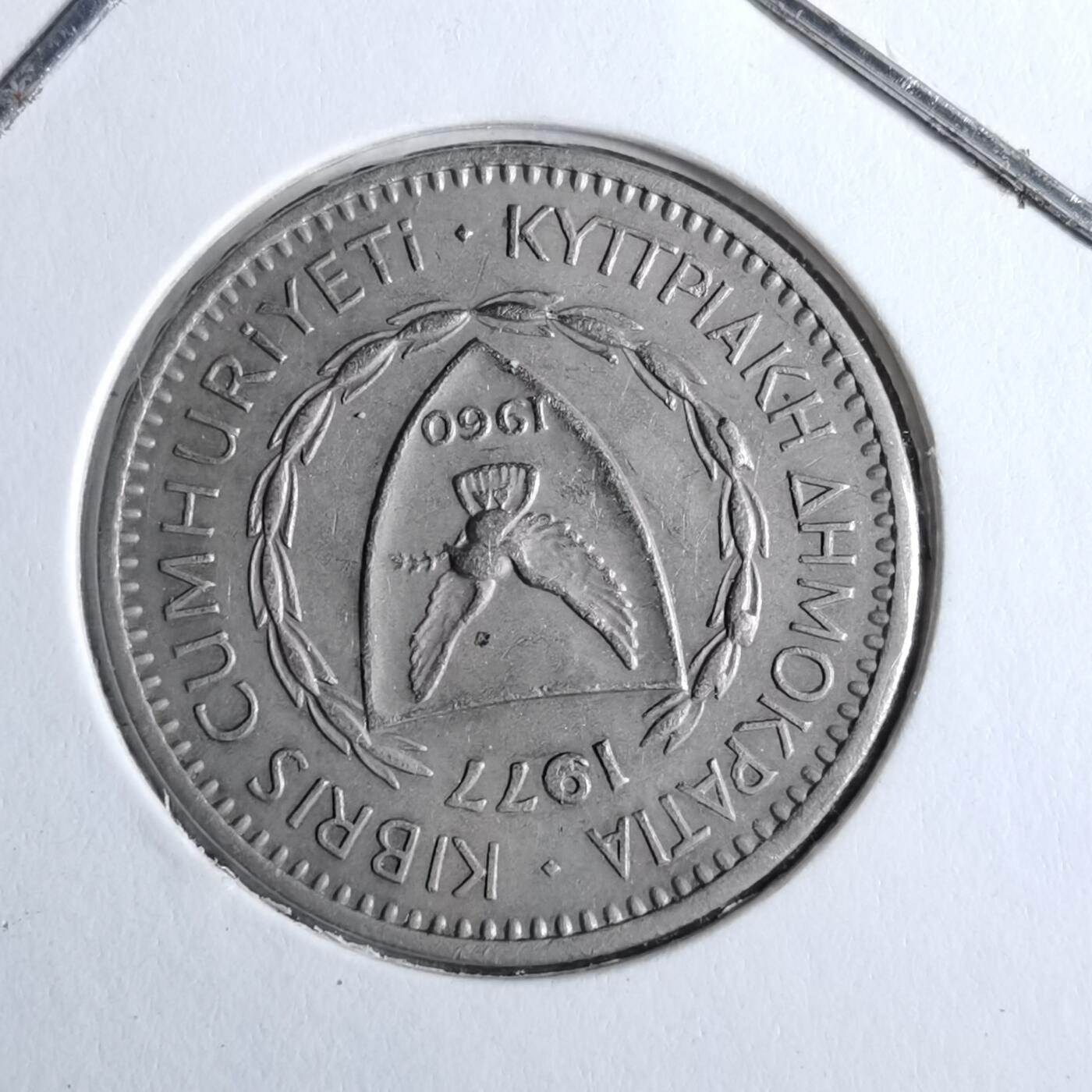 沼泽如烟--第886场 塞浦路斯1977年25分