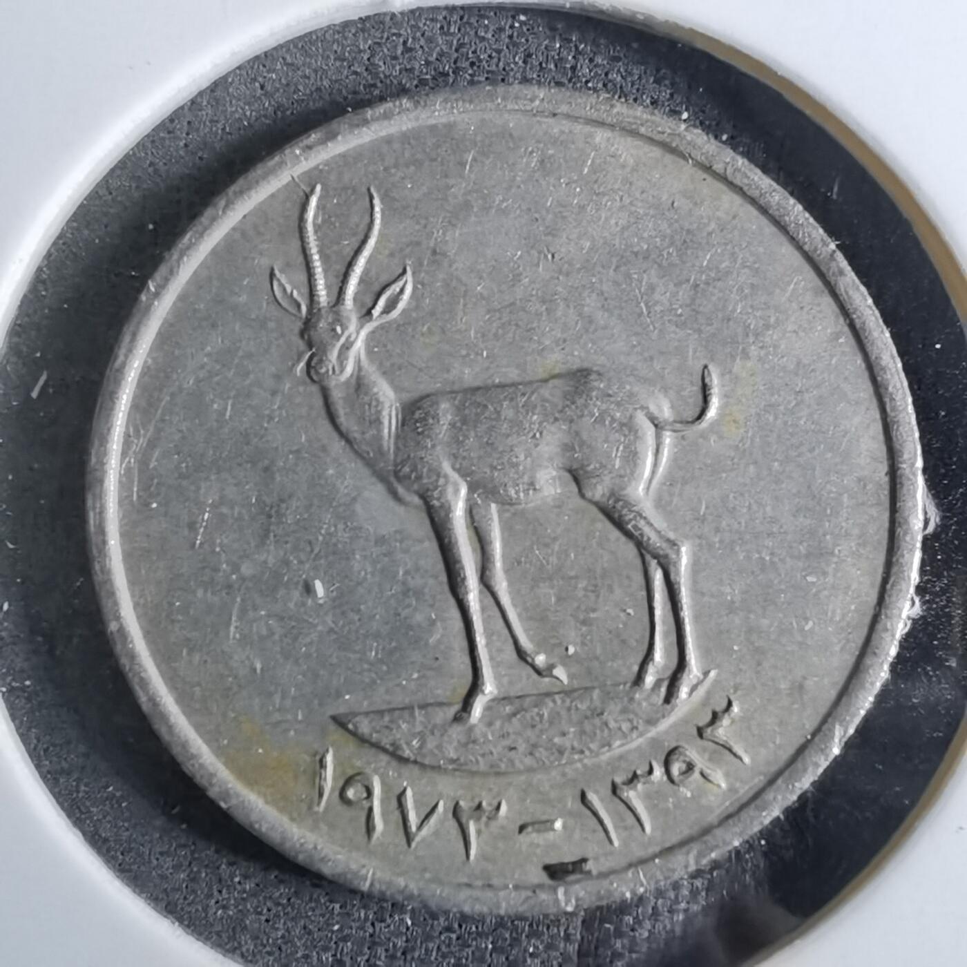 沼泽如烟--第886场 阿联酋