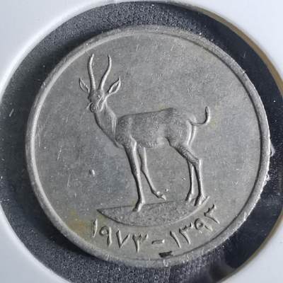 沼泽如烟--第886场 - 阿联酋