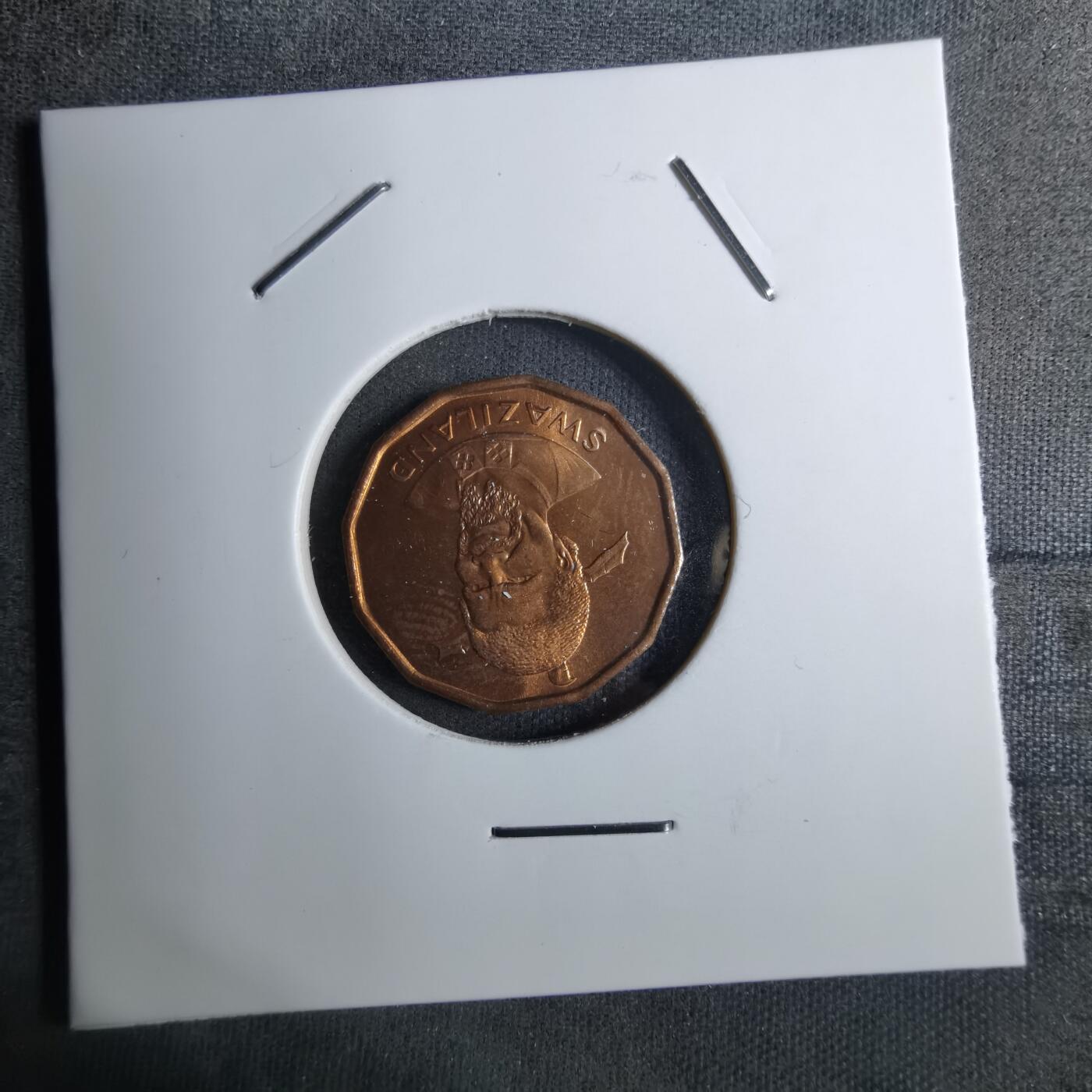 沼泽如烟--第886场