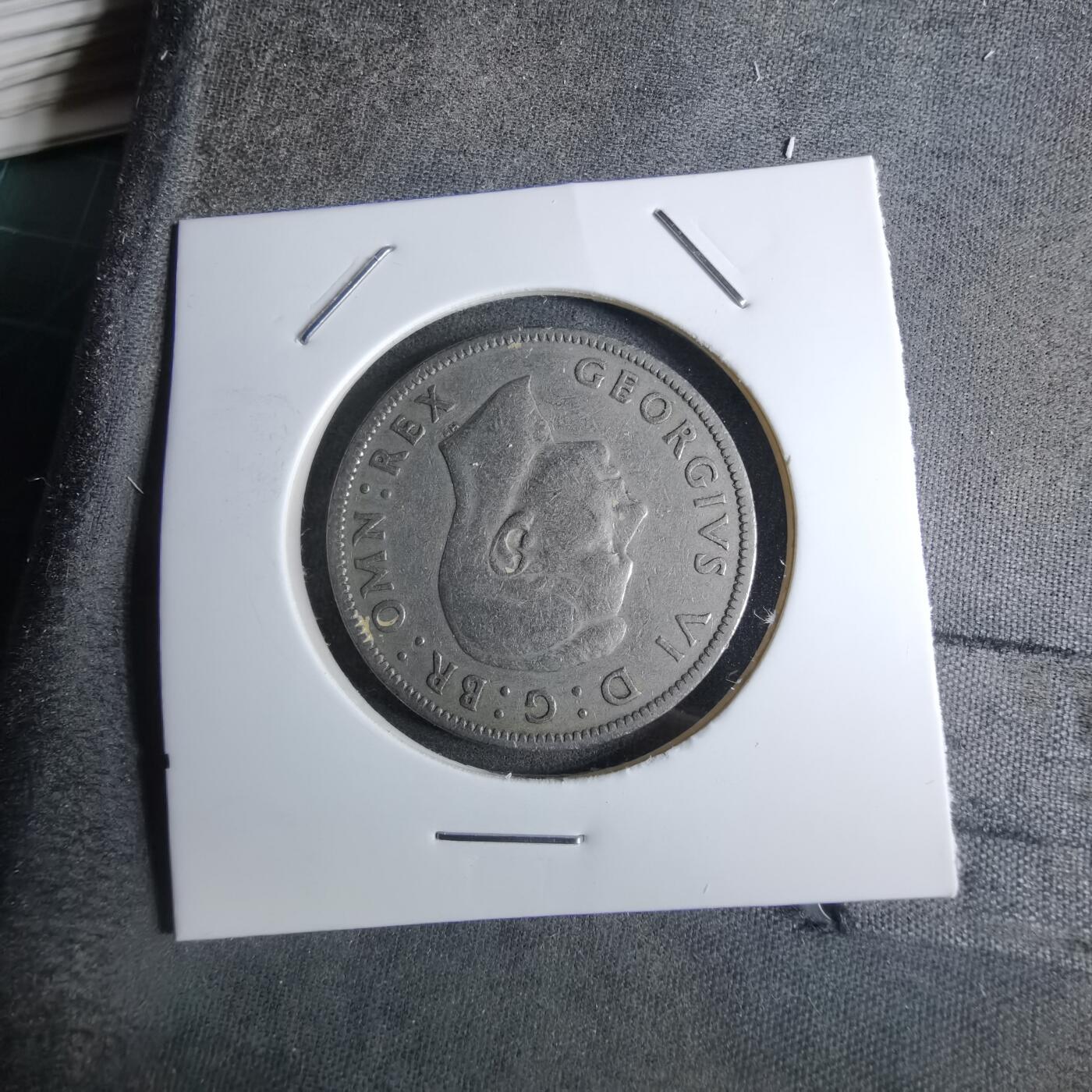 沼泽如烟--第886场