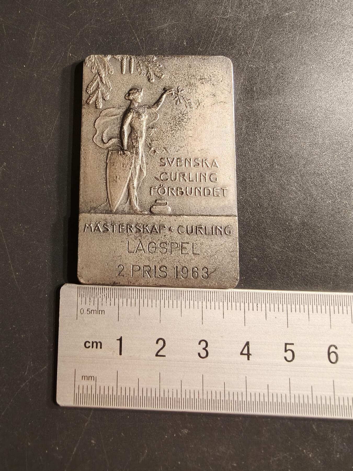 老王徽章第160期  瑞典冰壶协会方形镀银大铜章     尺寸58×36mm.    重量55.1g