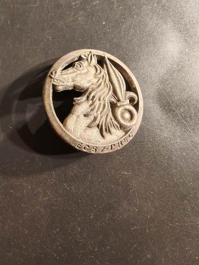 老王徽章第160期 - 法国外籍军团第1骑兵团证章 