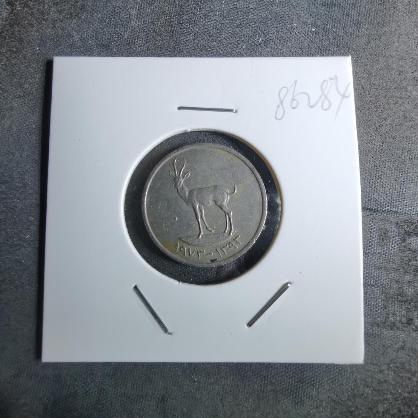 沼泽如烟--第886场 阿联酋