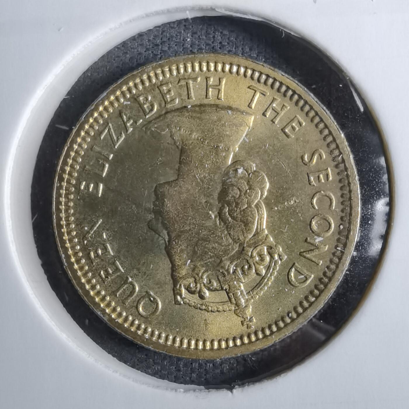 沼泽如烟--第886场