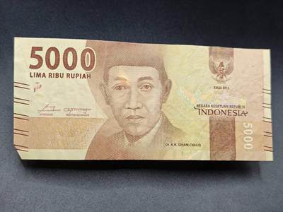 【淘币小摊】实时拍第七百八十五拍   无佣金纸币福利场   满百包邮可预留二周 每周一统一发货   - 印尼5000卢比