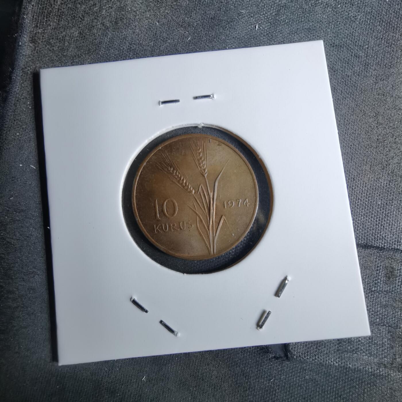 沼泽如烟--第886场