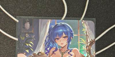 绝对不正常的拍卖场 不寄存! - 绘天阁乃卡（带点）