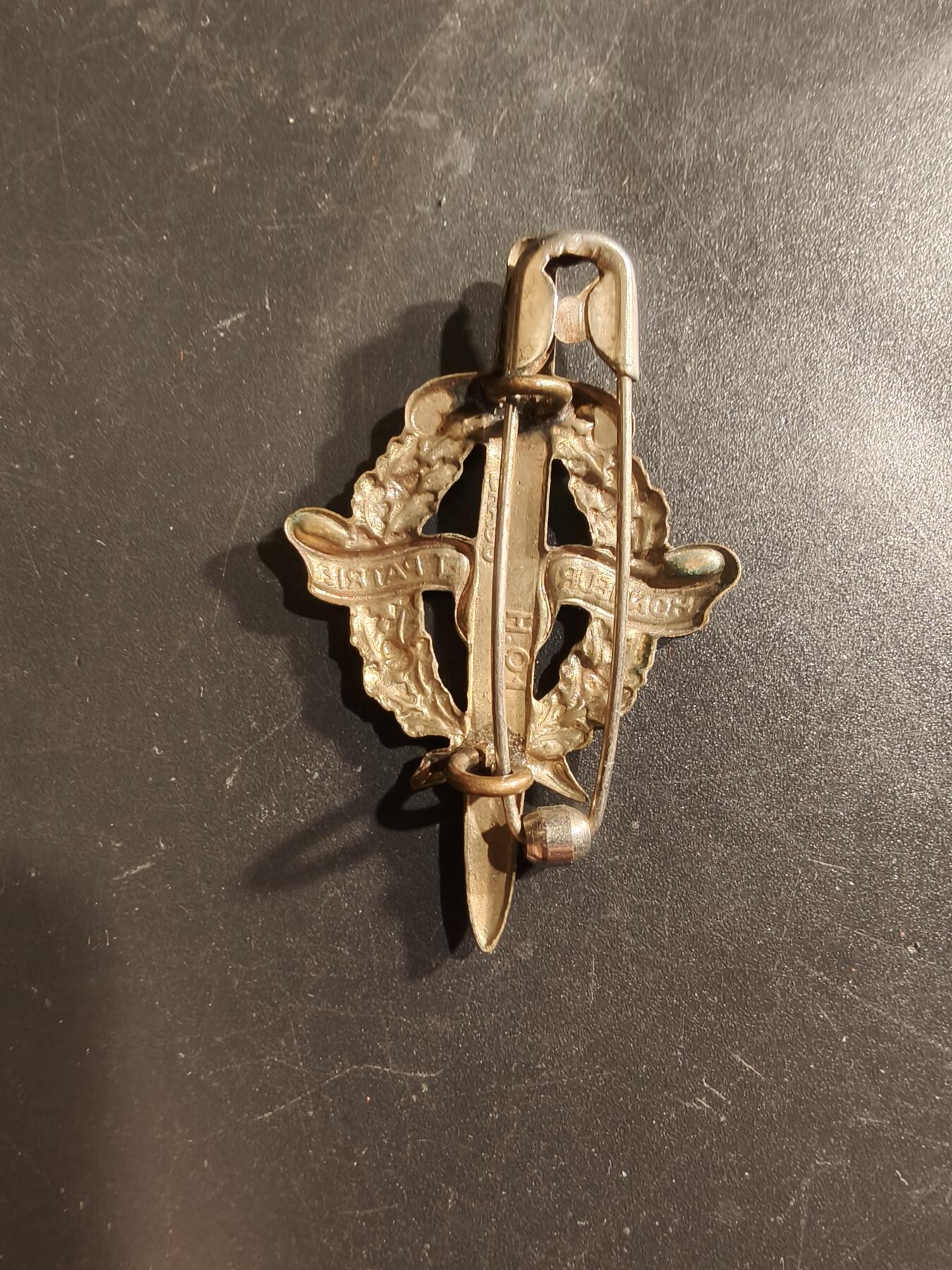 老王徽章第160期 法国金级军事技能证章