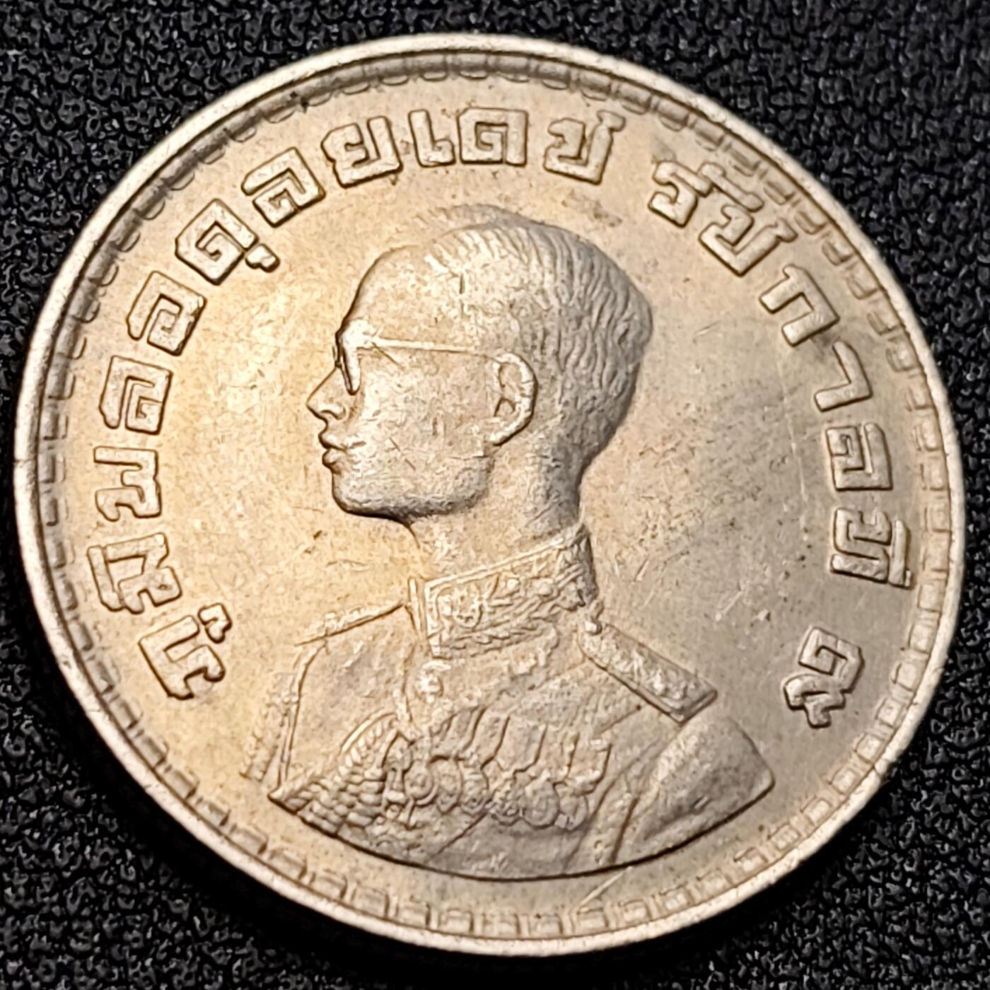 泉币菌-第122场-精品福利场