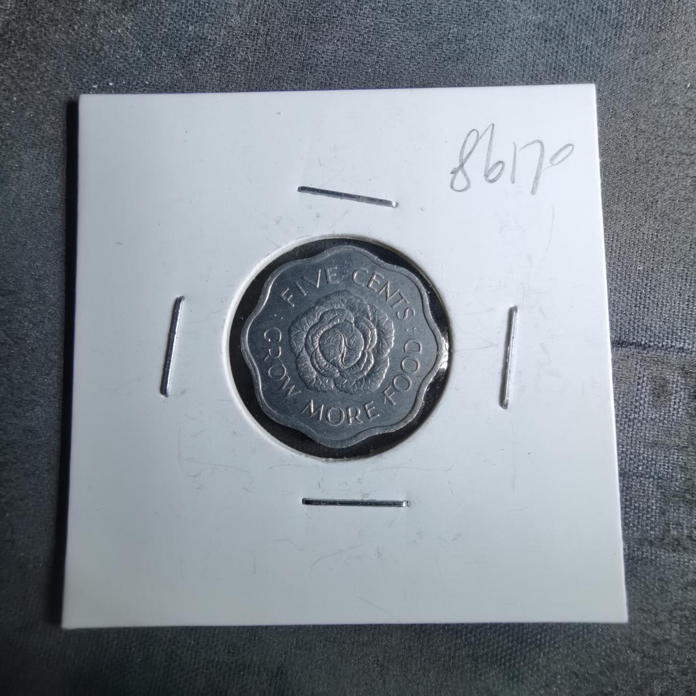 沼泽如烟--第886场