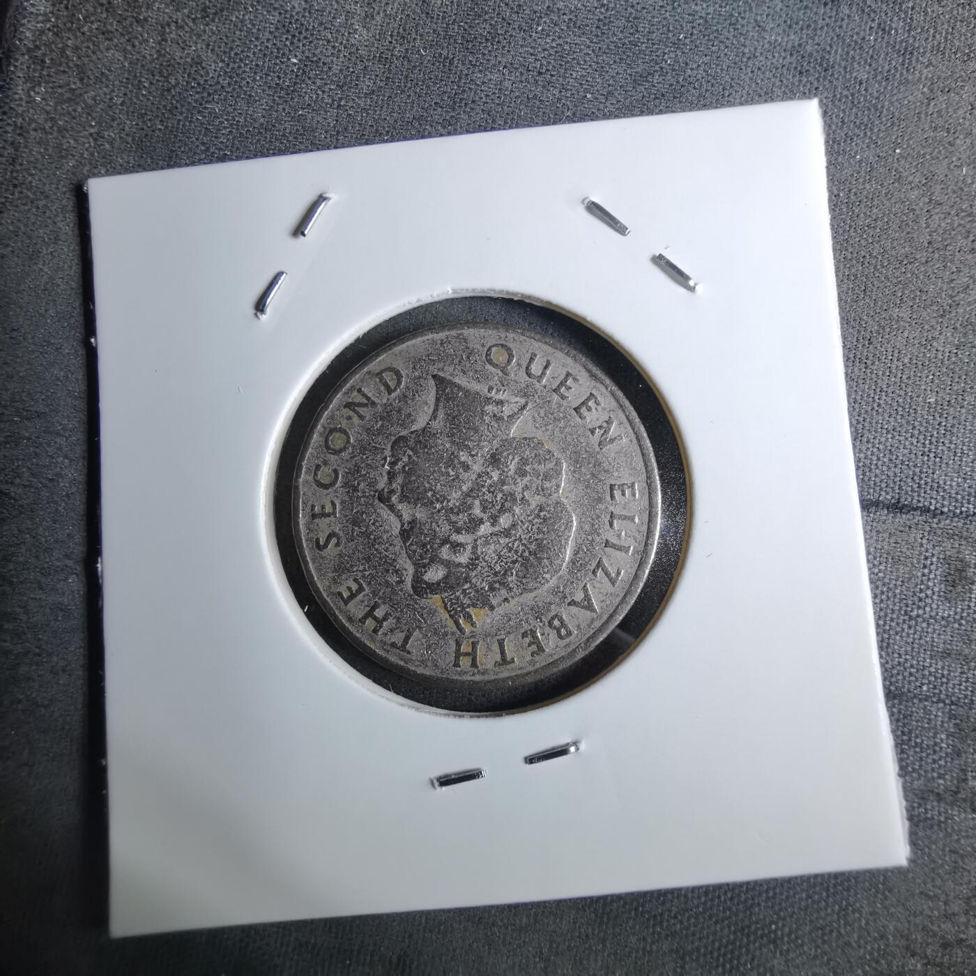 沼泽如烟--第886场