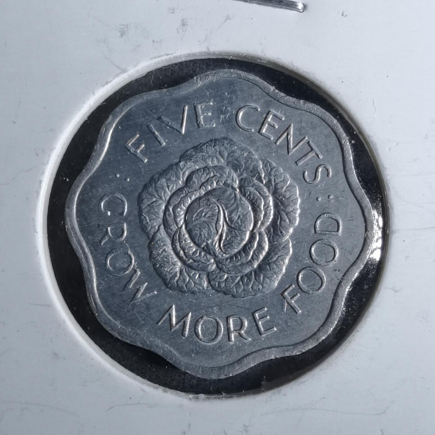 沼泽如烟--第886场