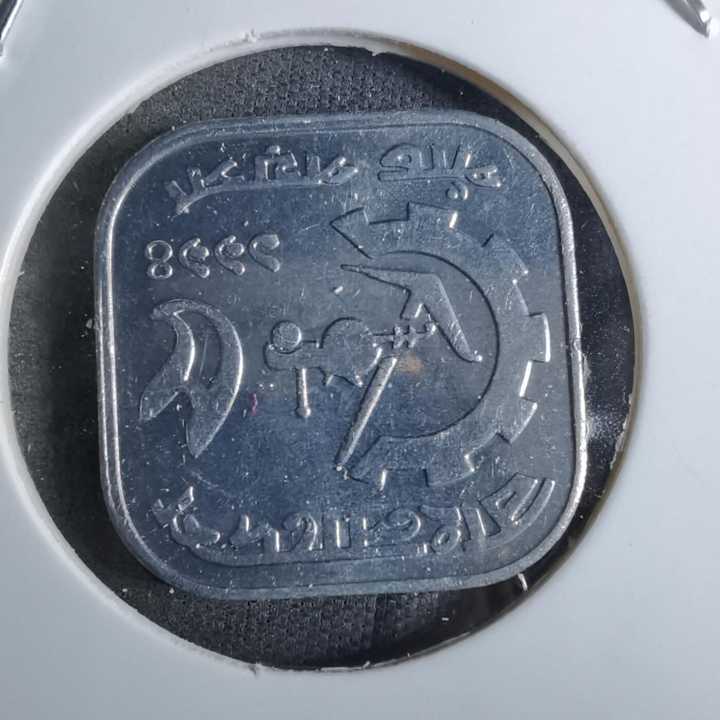 沼泽如烟--第886场