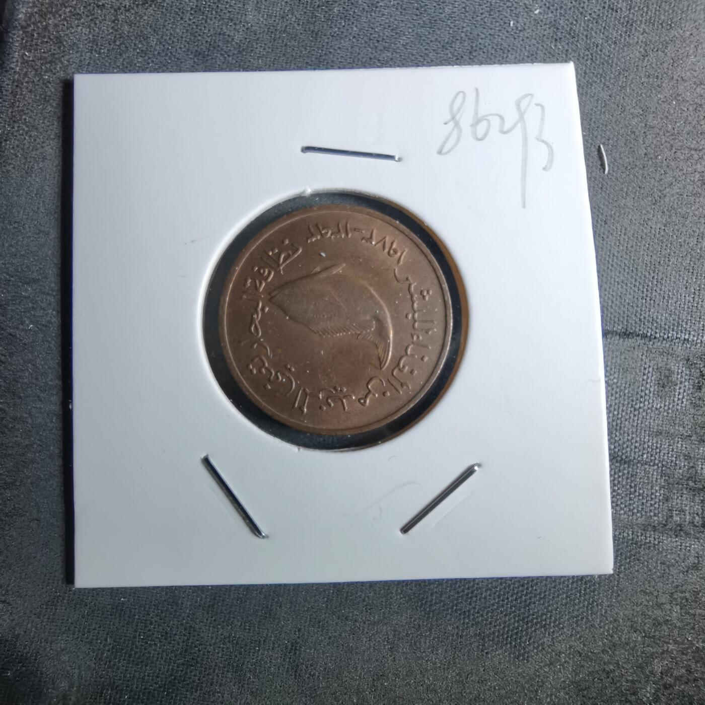 沼泽如烟--第886场 阿联酋