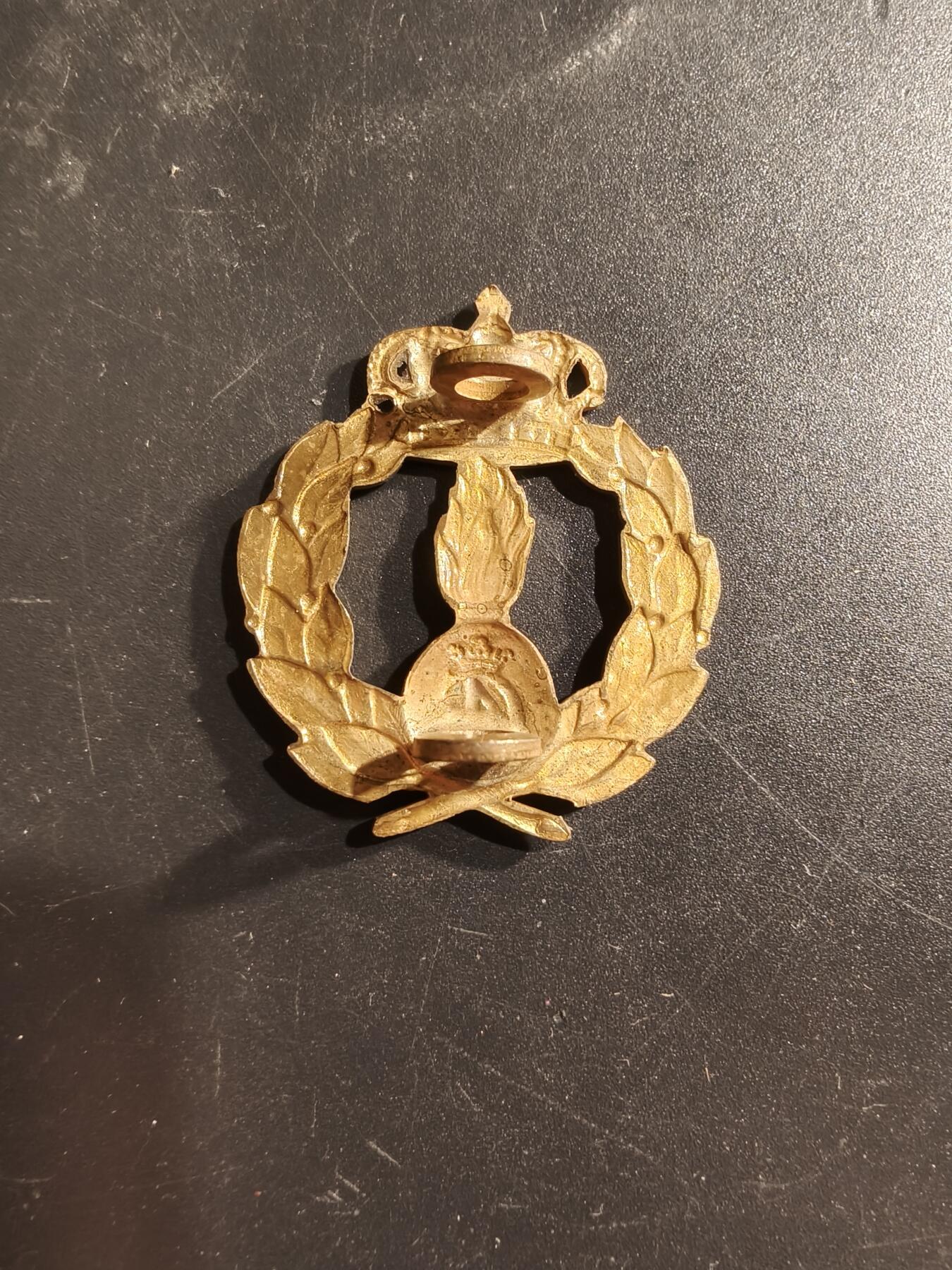 老王徽章第160期 丹麦陆军物资司令部帽徽    丹麦陆军物资司令部于2006年解散，其职能被国防物资和服务局