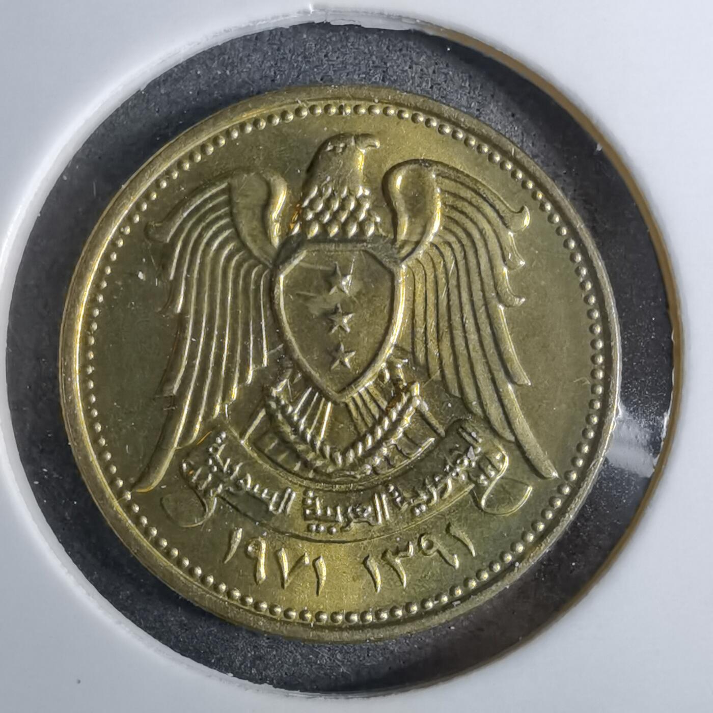 沼泽如烟--第886场