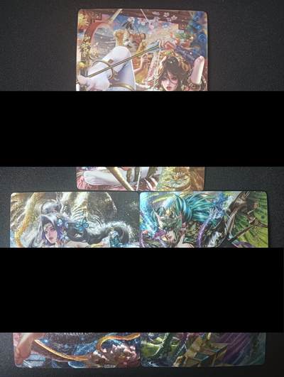 花开卡拍第45期（11月2号周日截拍，品控勿拍!!!拍品不寄存，运费5元，自制卡难免瑕疵，可能存在轻微撞角爆边等出厂瑕疵，品控介意勿拍！） - 卡玩帕克魂姬三国 17弹 粗闪3张