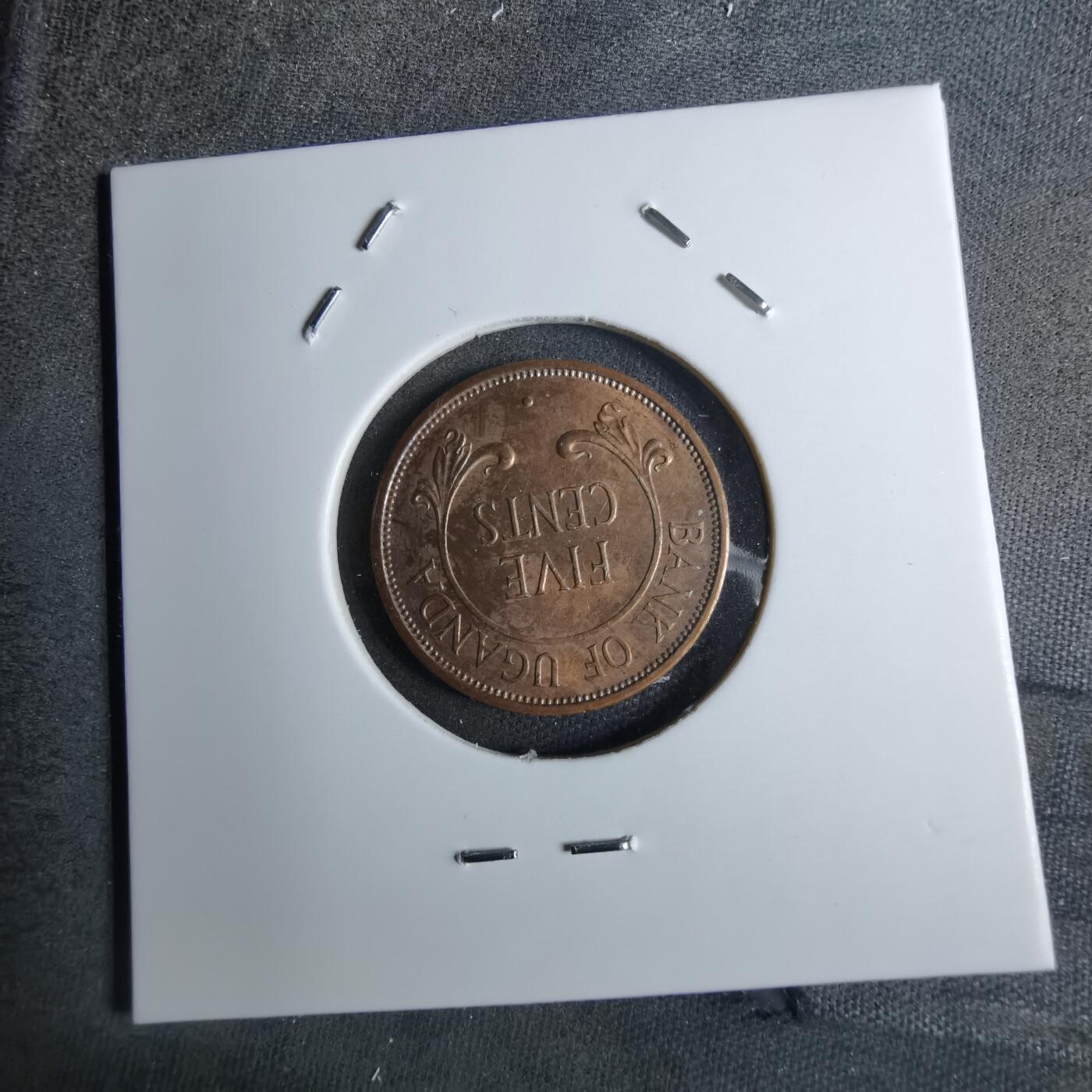 沼泽如烟--第886场