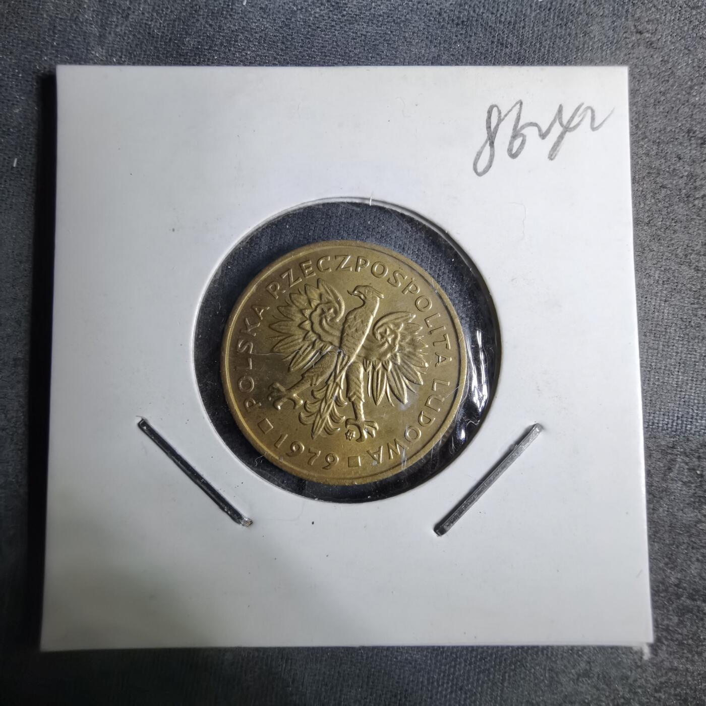 沼泽如烟--第886场