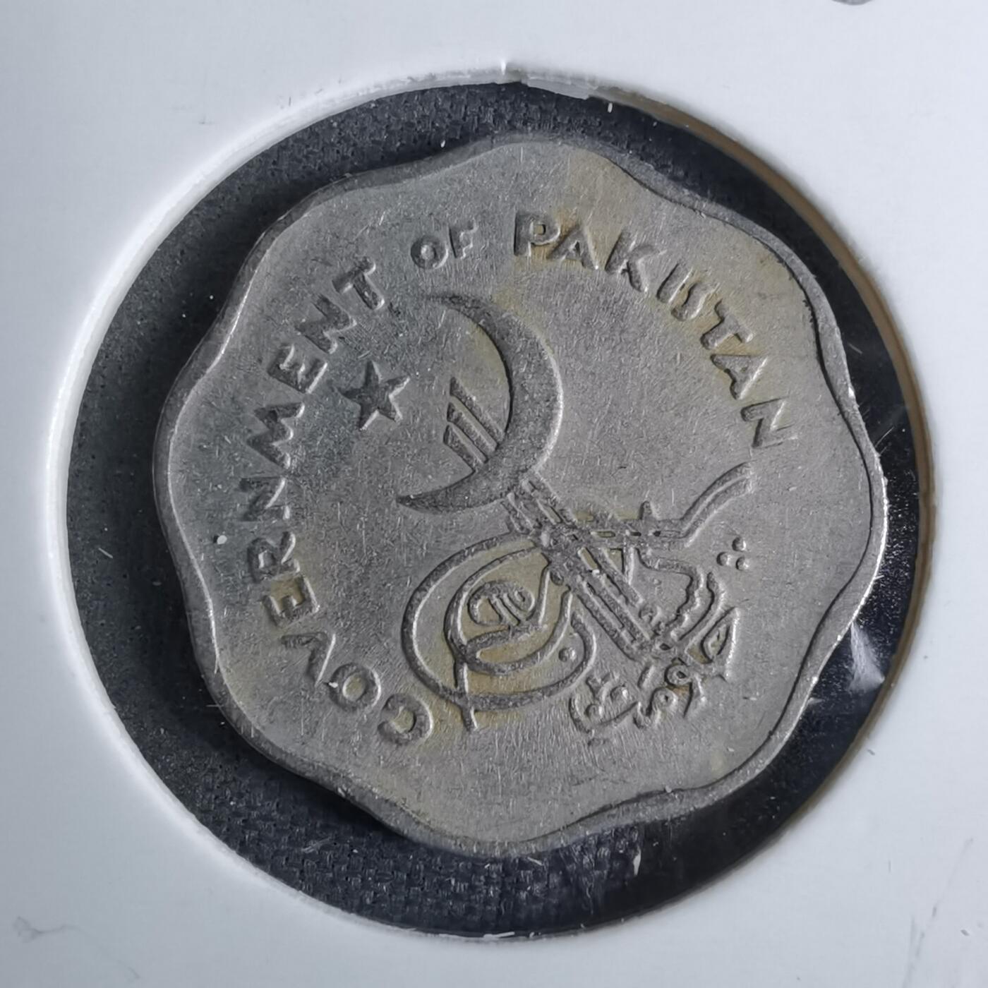 沼泽如烟--第886场