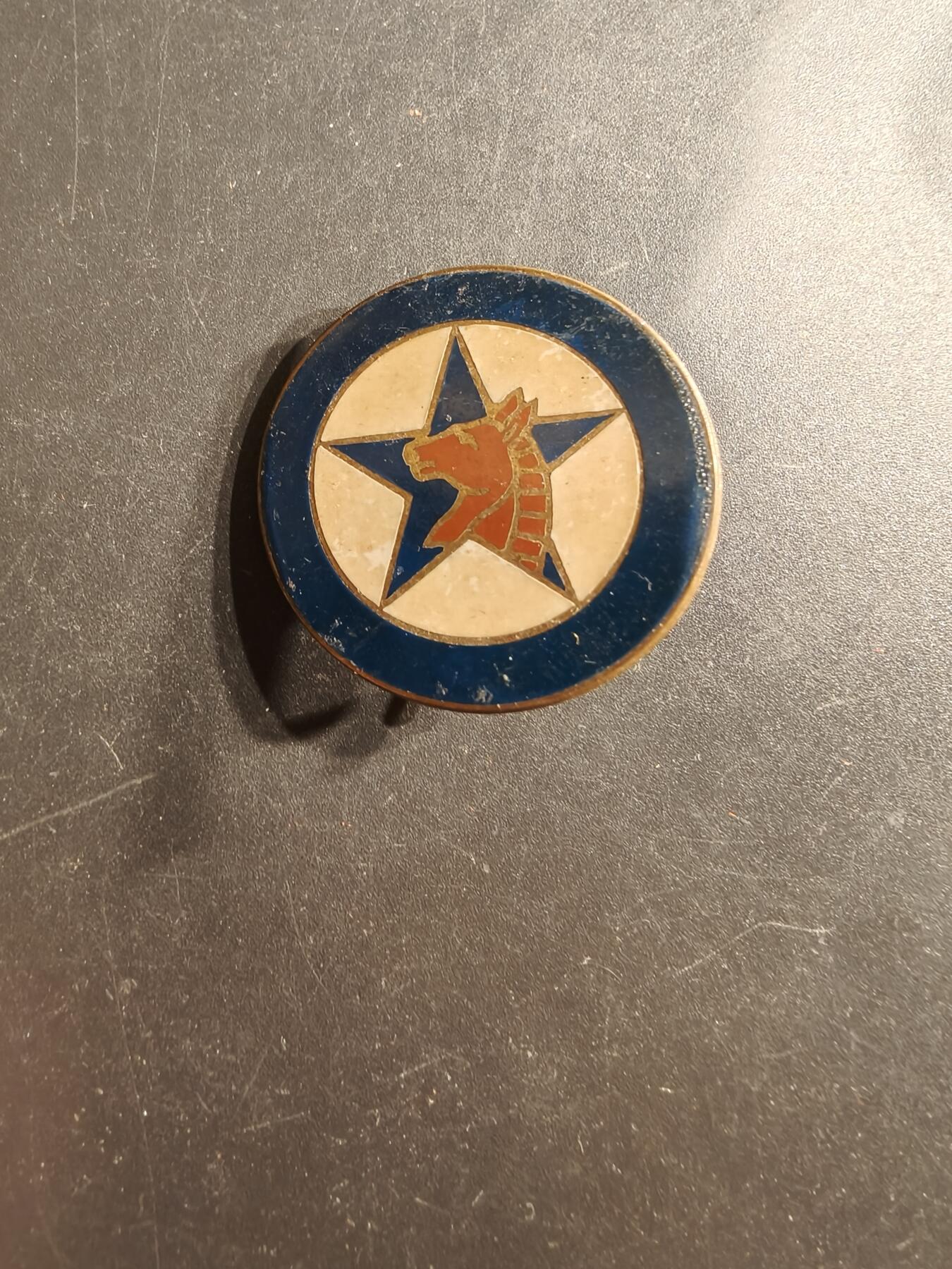 老王徽章第160期 法国外籍军团4团第1连证章      