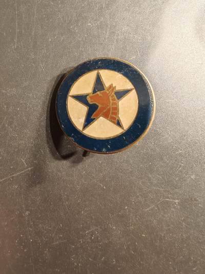 老王徽章第160期 - 法国外籍军团4团第1连证章      