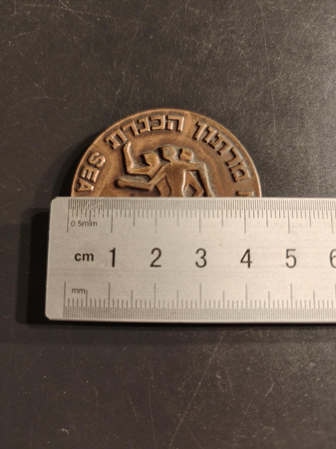 老王徽章第160期 以色列加利利海马拉松竞赛大铜章     直径44mm.   重量54g