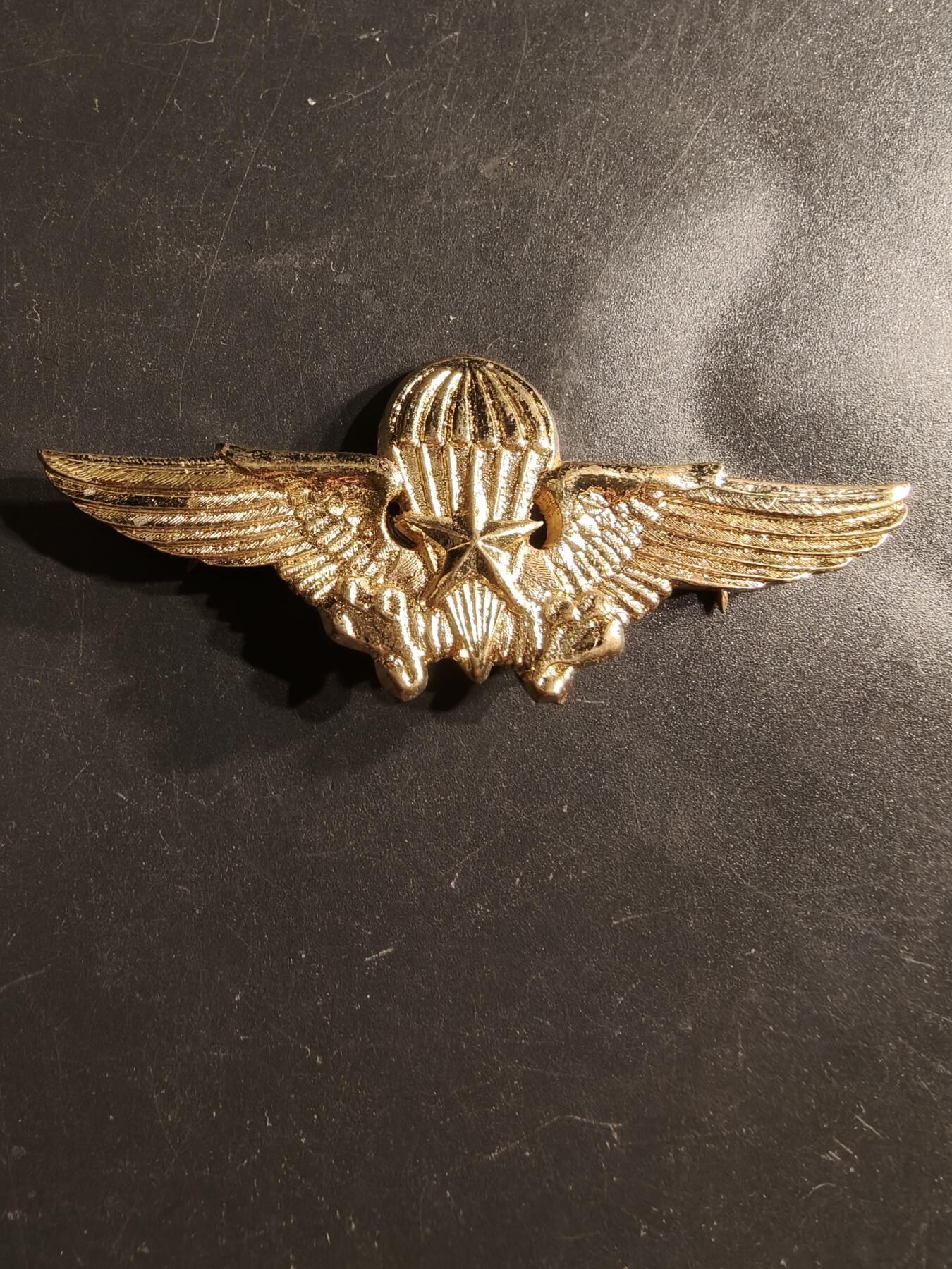 老王徽章第160期 哥伦比亚空降兵中级技能章