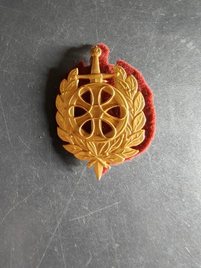 老王徽章第160期 - 丹麦陆军后勤团帽徽 底衬完整