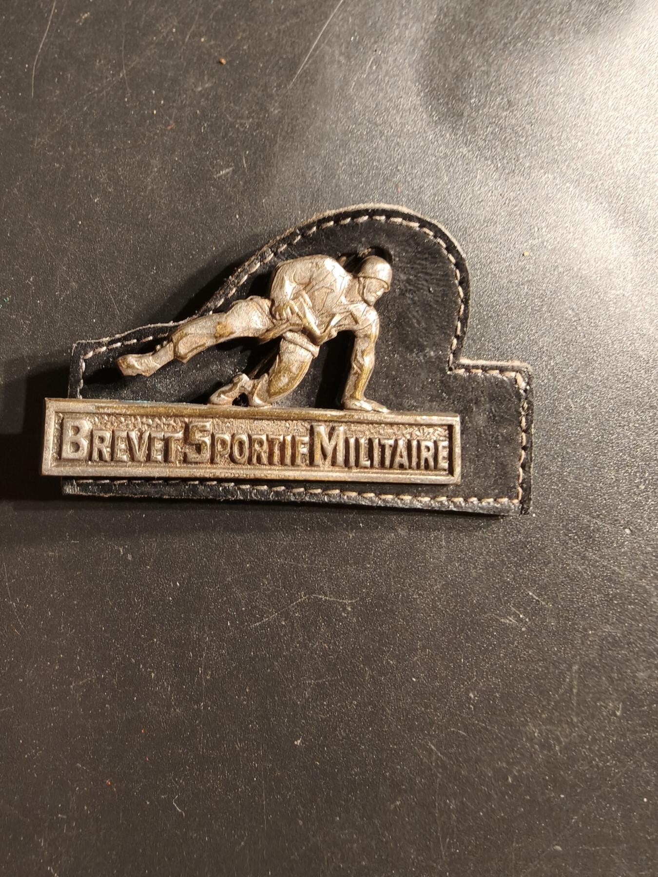 老王徽章第160期  法国银级军事滑雪技能证章