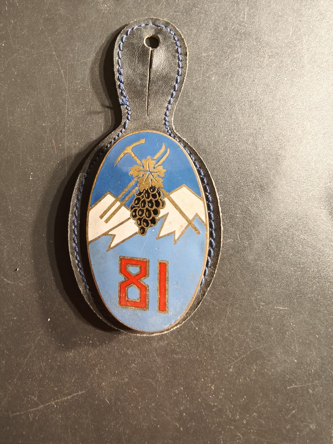 老王徽章第160期