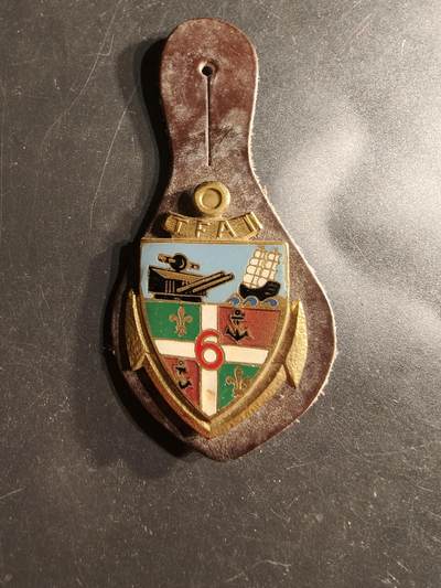 老王徽章第160期 - 法国第6海岸炮兵团证章 