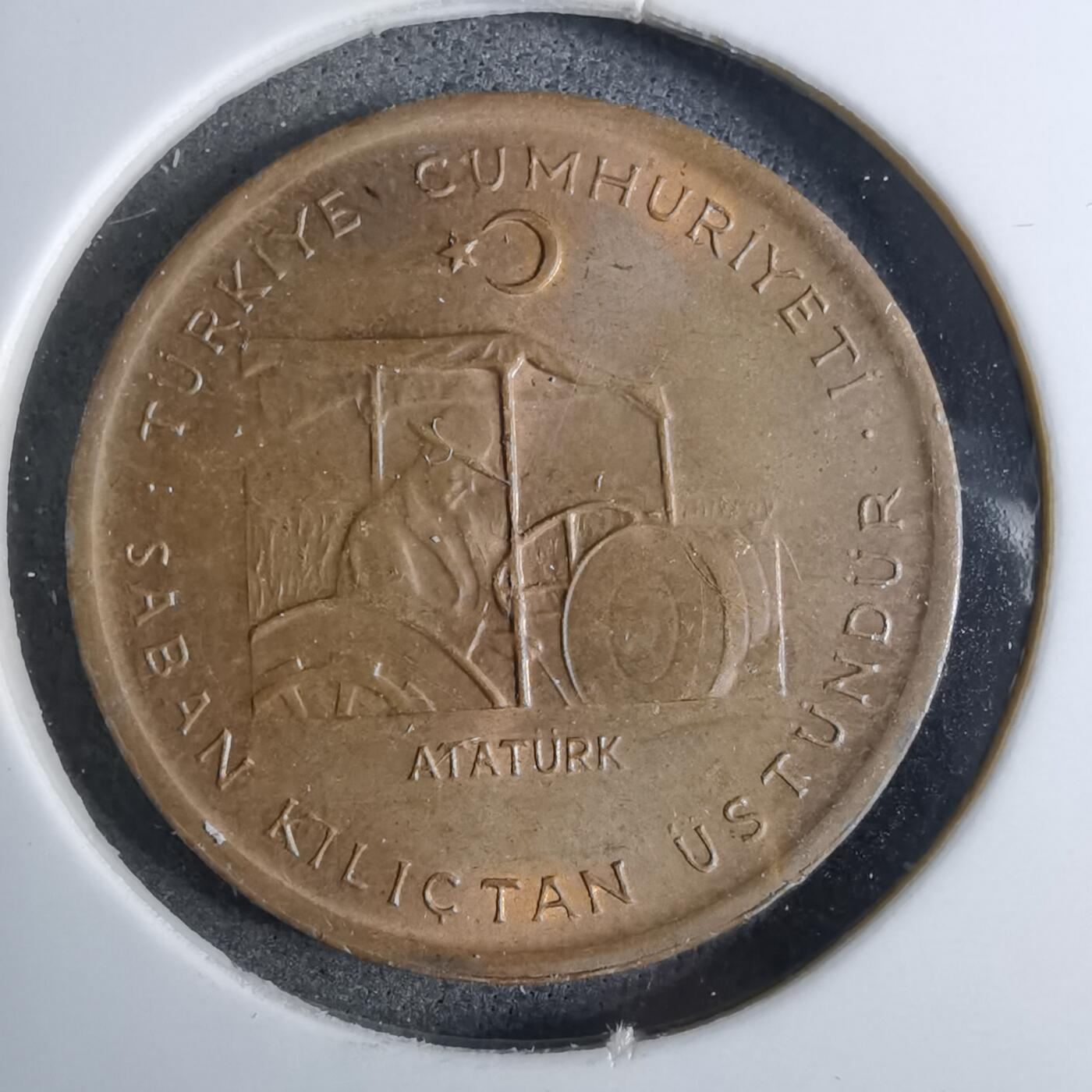 沼泽如烟--第886场