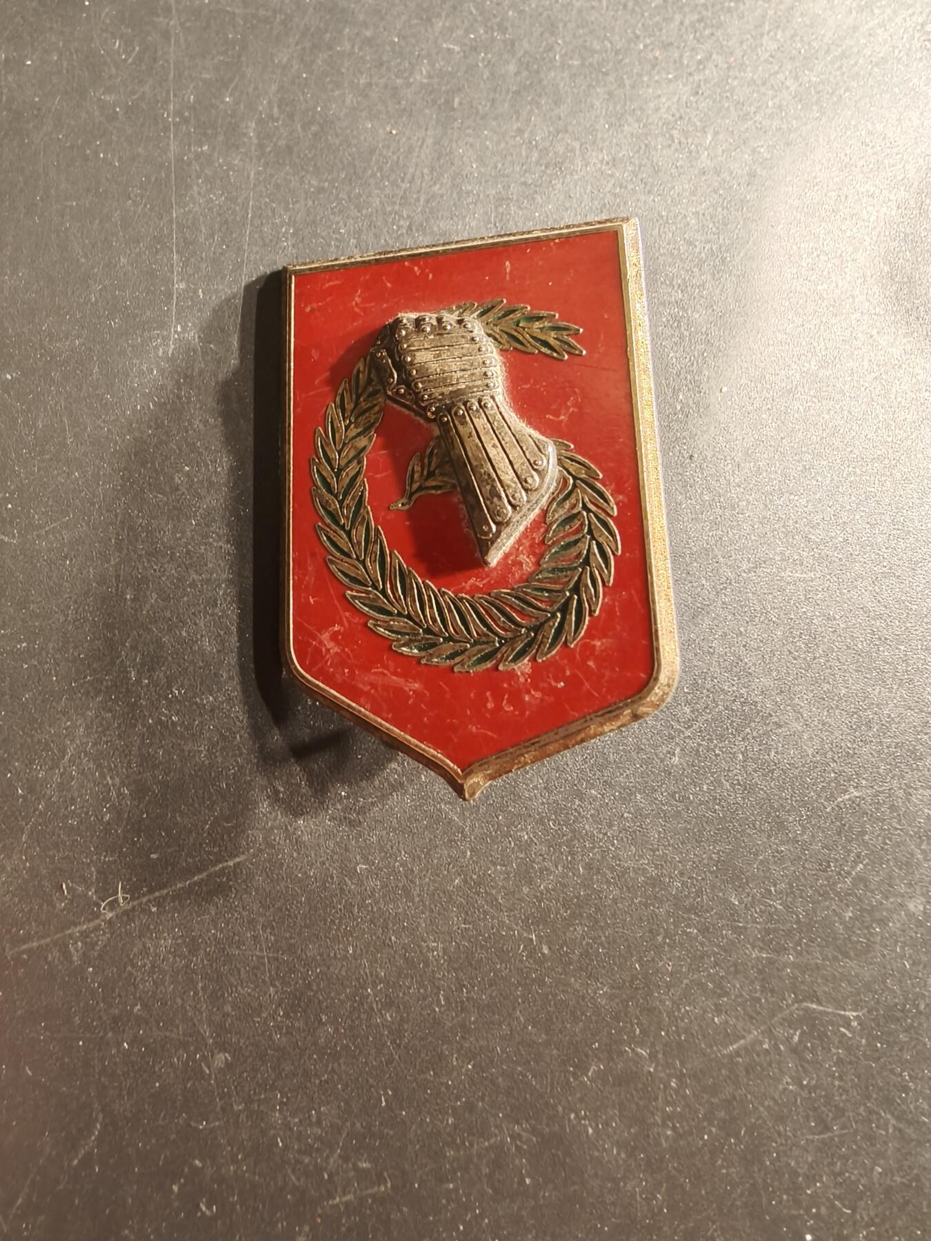 老王徽章第160期 法国第6轻型装甲旅证章 