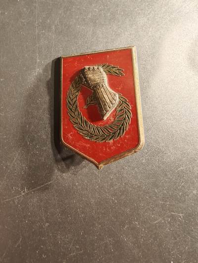 老王徽章第160期 - 法国第6轻型装甲旅证章 