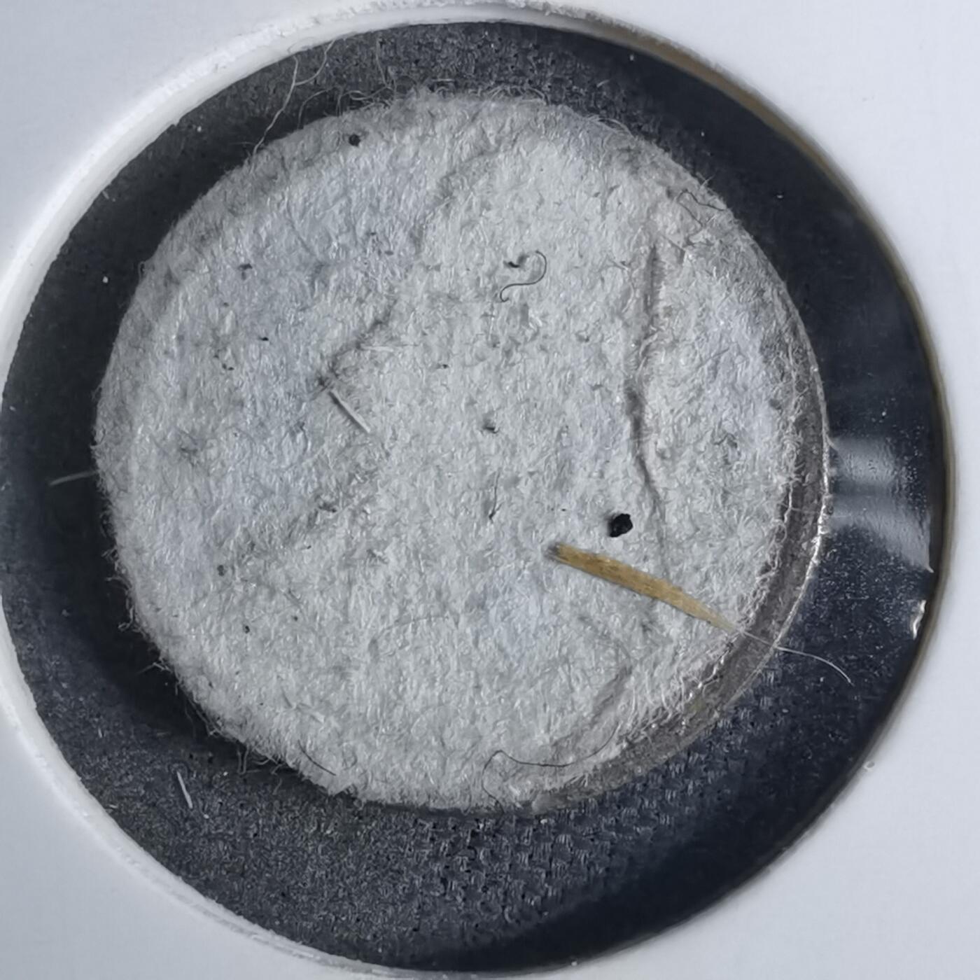 沼泽如烟--第886场 泰国