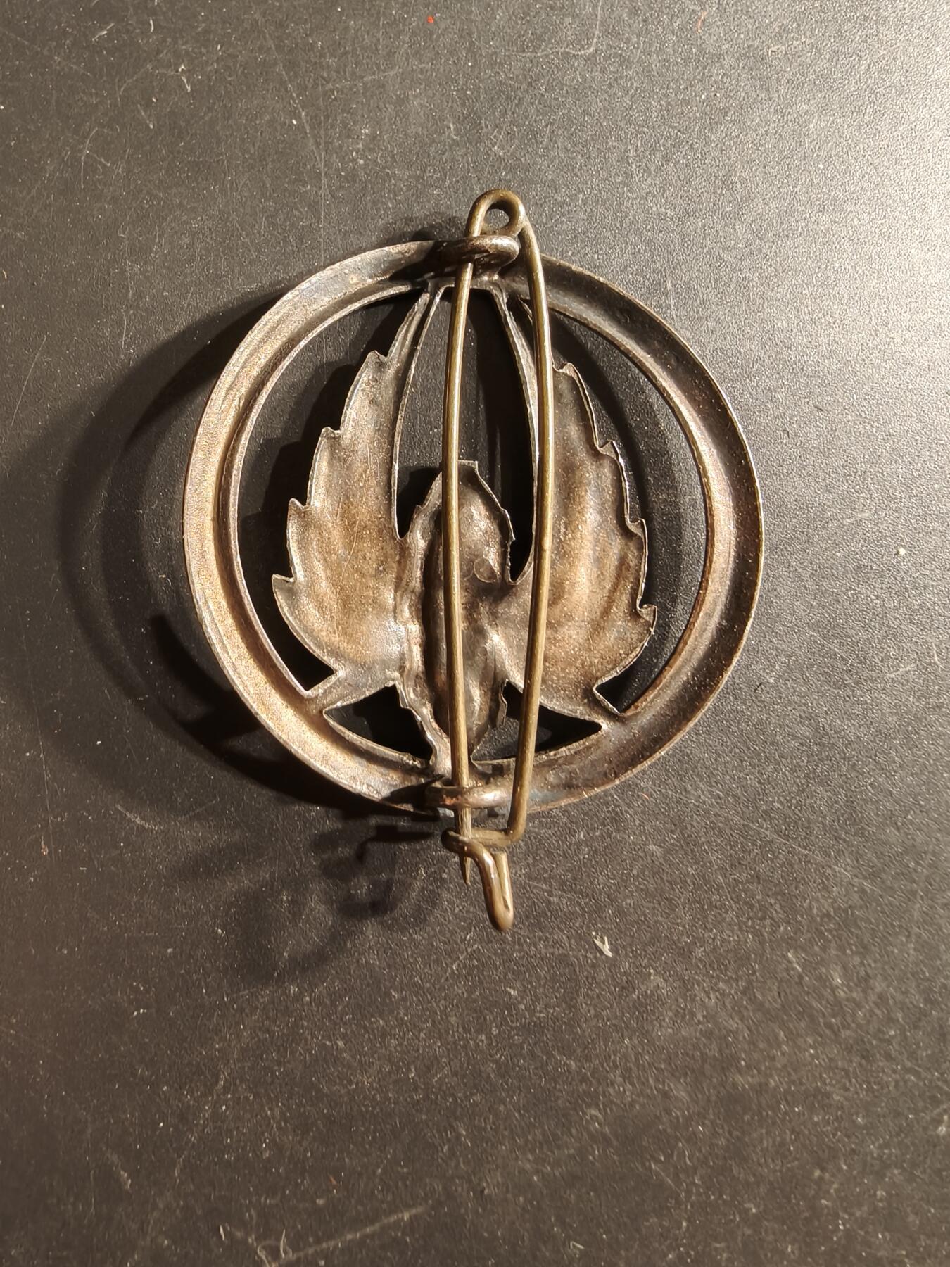 老王徽章第160期 法国铁路运输兵贝雷帽徽 