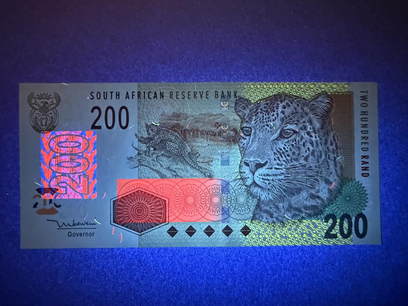 《艾美收藏》第218期-11.2周日外币荟萃 南非200兰特 UNC 2005年版 非洲豹