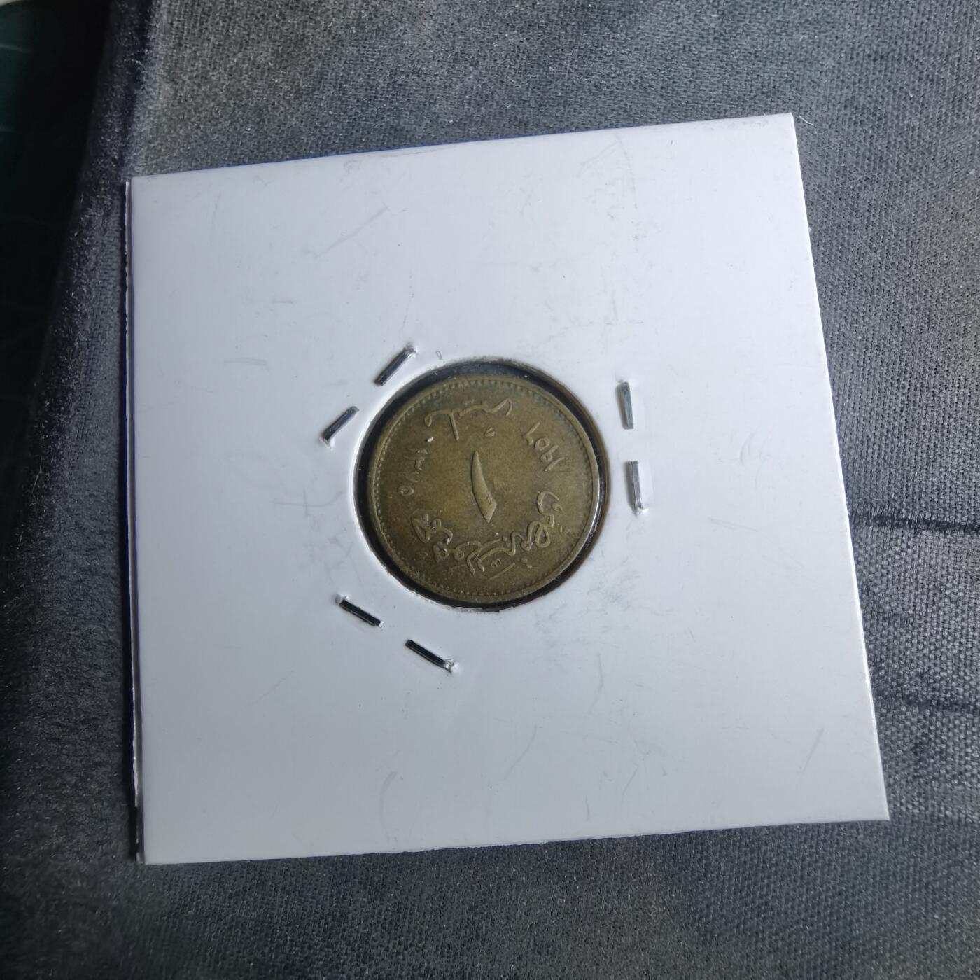 沼泽如烟--第886场