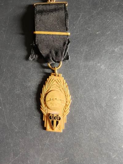 老王徽章第160期 - 法国纪念章