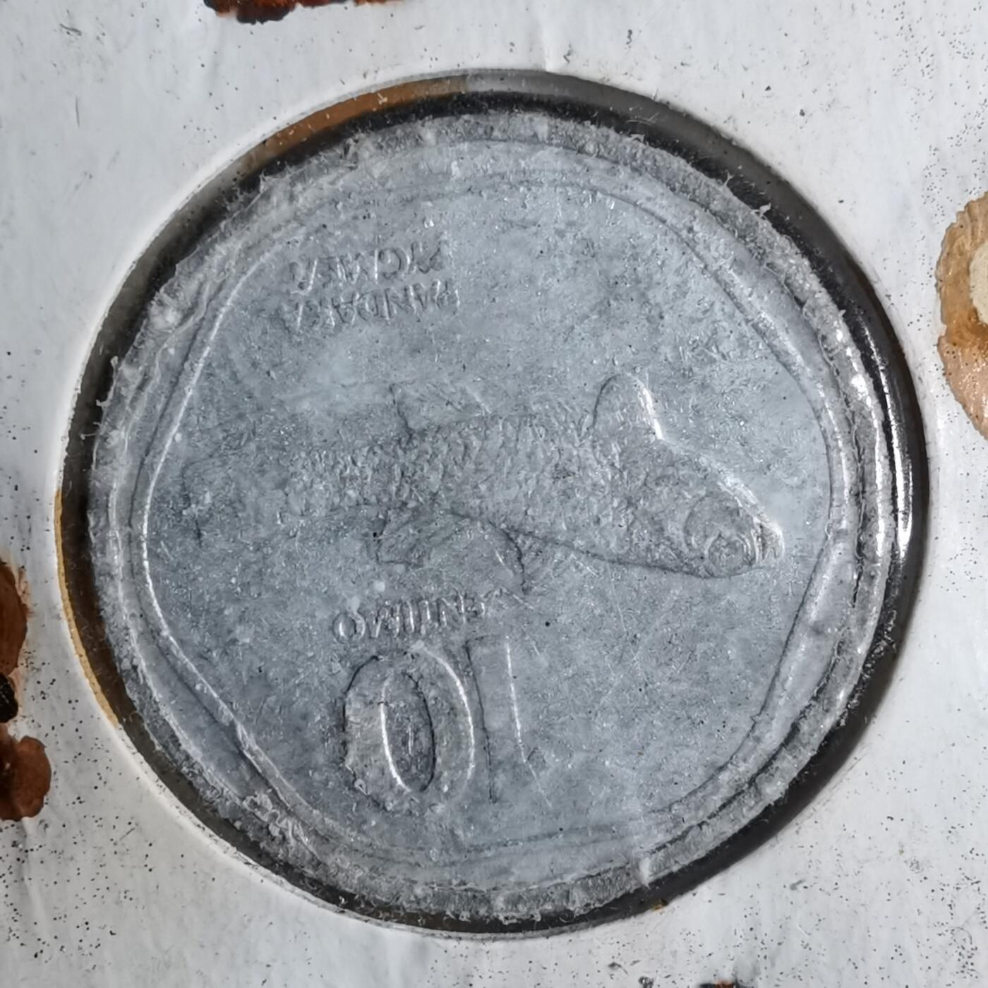 沼泽如烟--第886场