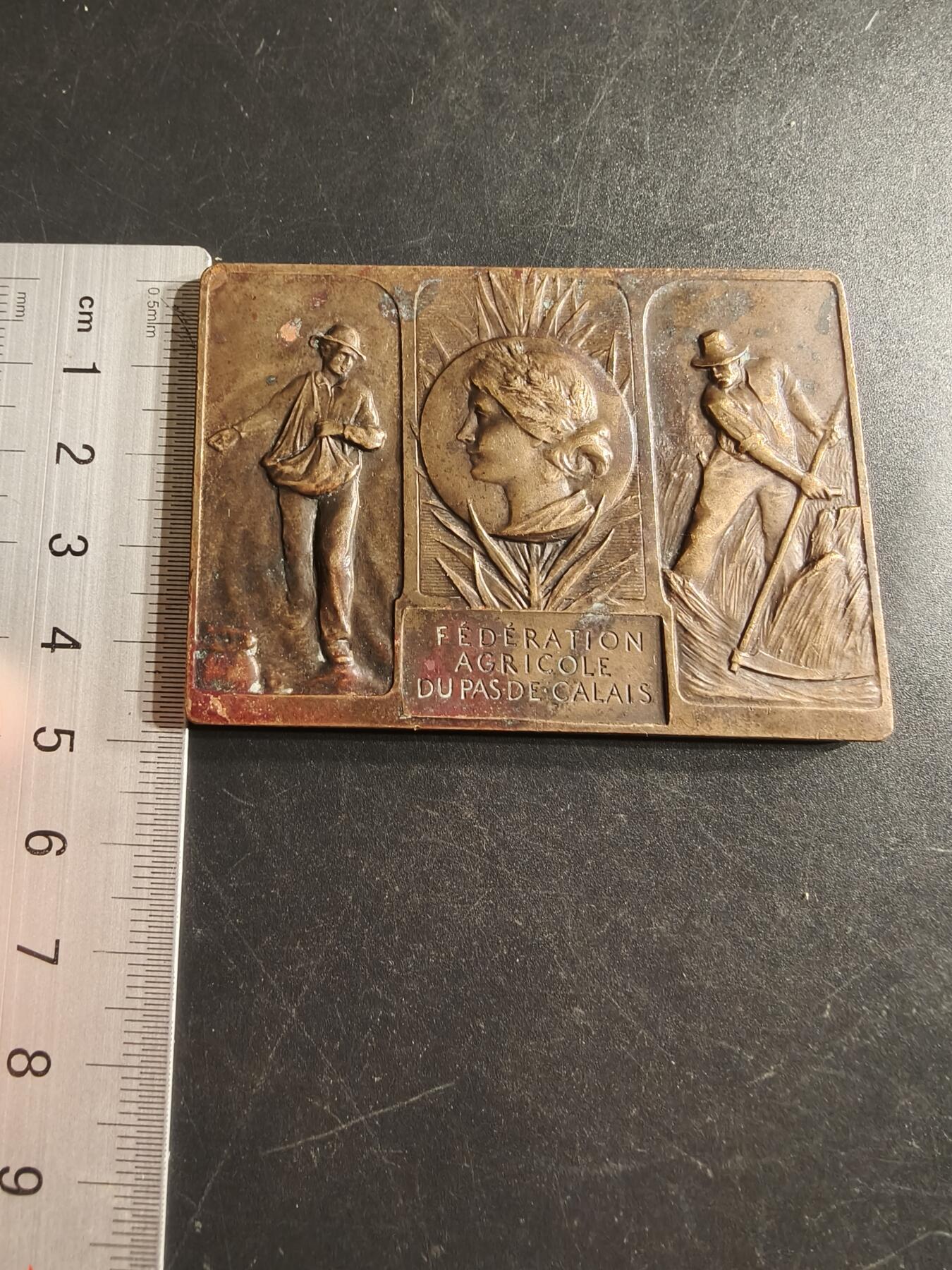 老王徽章第160期  法国下加莱海峡省农业协会方形大铜章      尺寸66×48mm.    重量110g