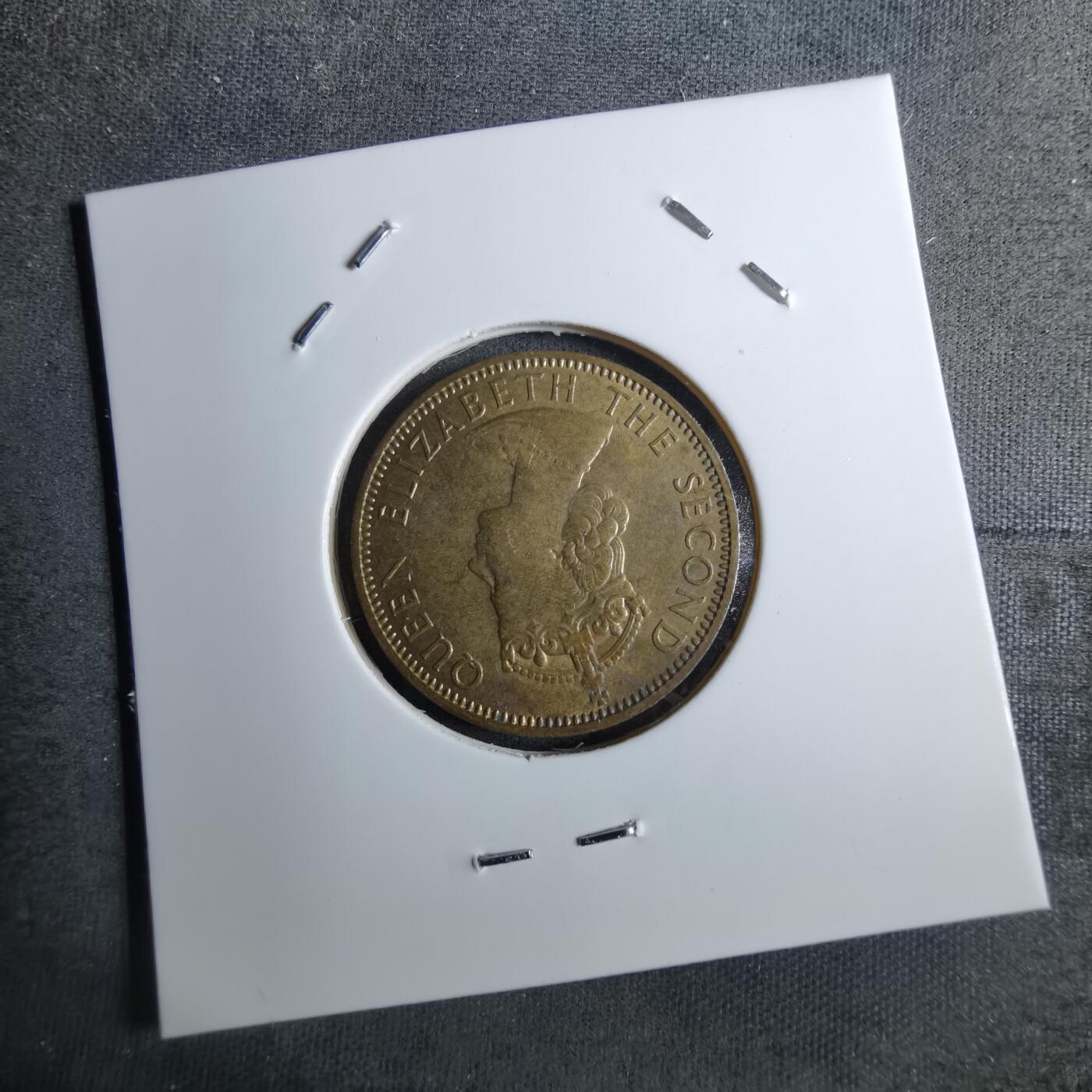 沼泽如烟--第886场