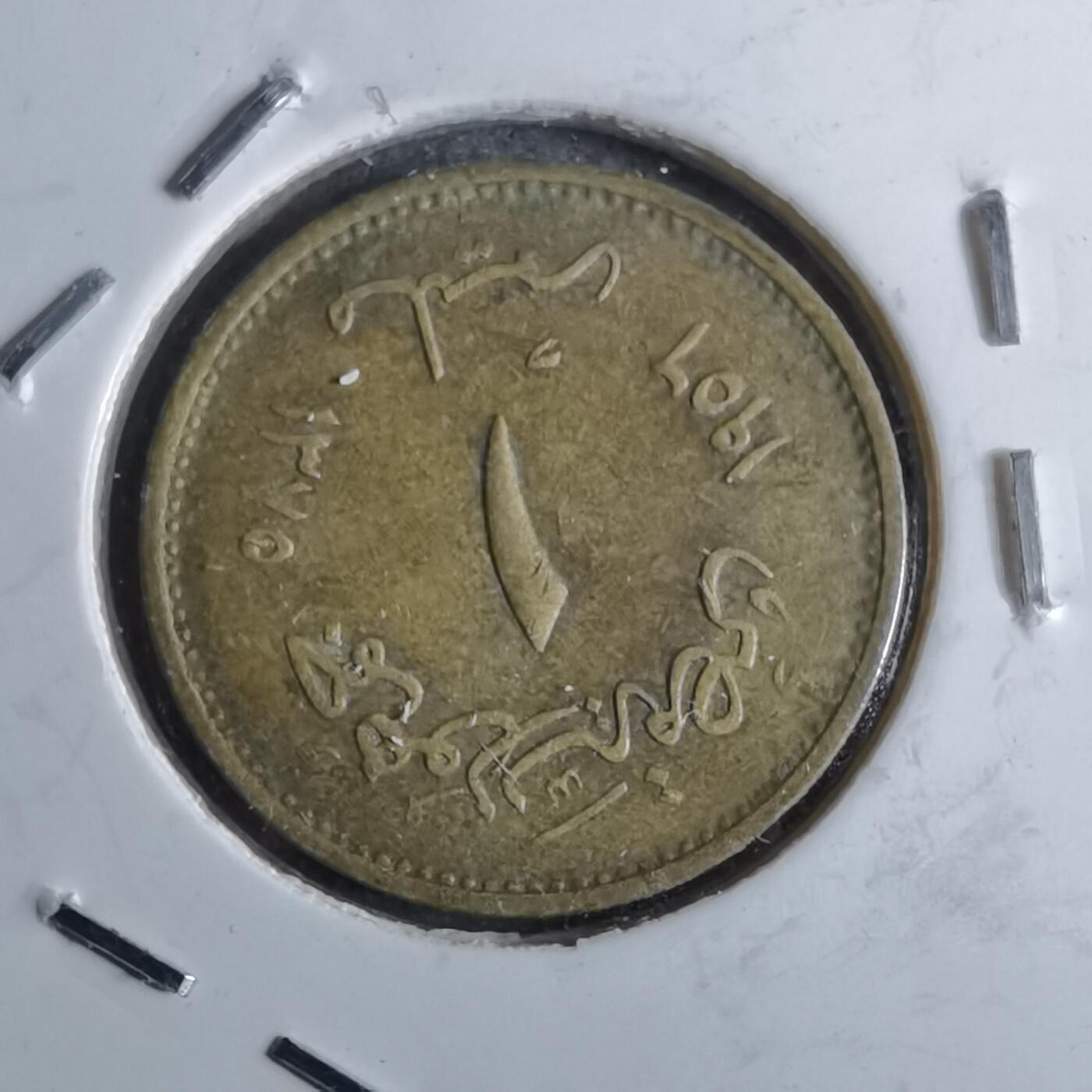 沼泽如烟--第886场